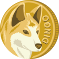 dingo